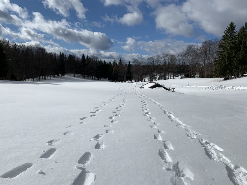 CCF3C233-5E63-4F13-89D9-97E08D5E02EF