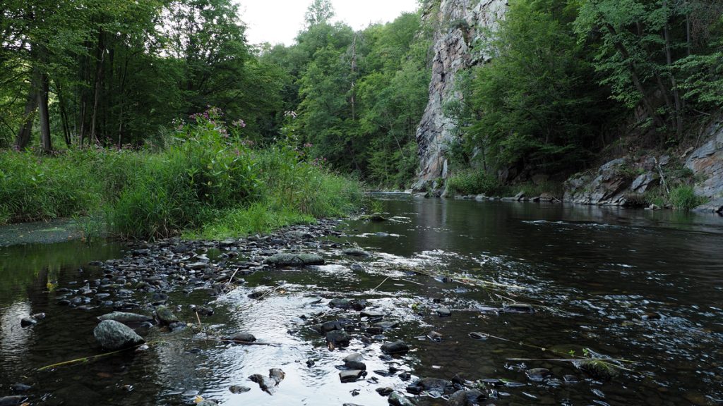 <a href="https://commons.wikimedia.org/wiki/File:Kamp_bei_Steinegg.jpg">Andreas Ehrenreich</a>, <a href="https://creativecommons.org/licenses/by-sa/4.0">CC BY-SA 4.0</a>, via Wikimedia Commons